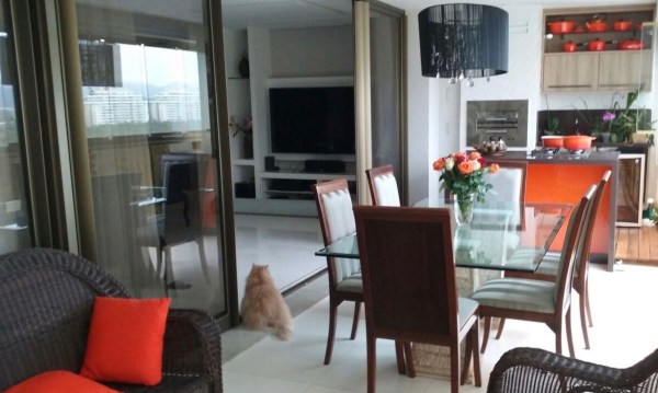 2014-apt-barra-vgou-jfm-008